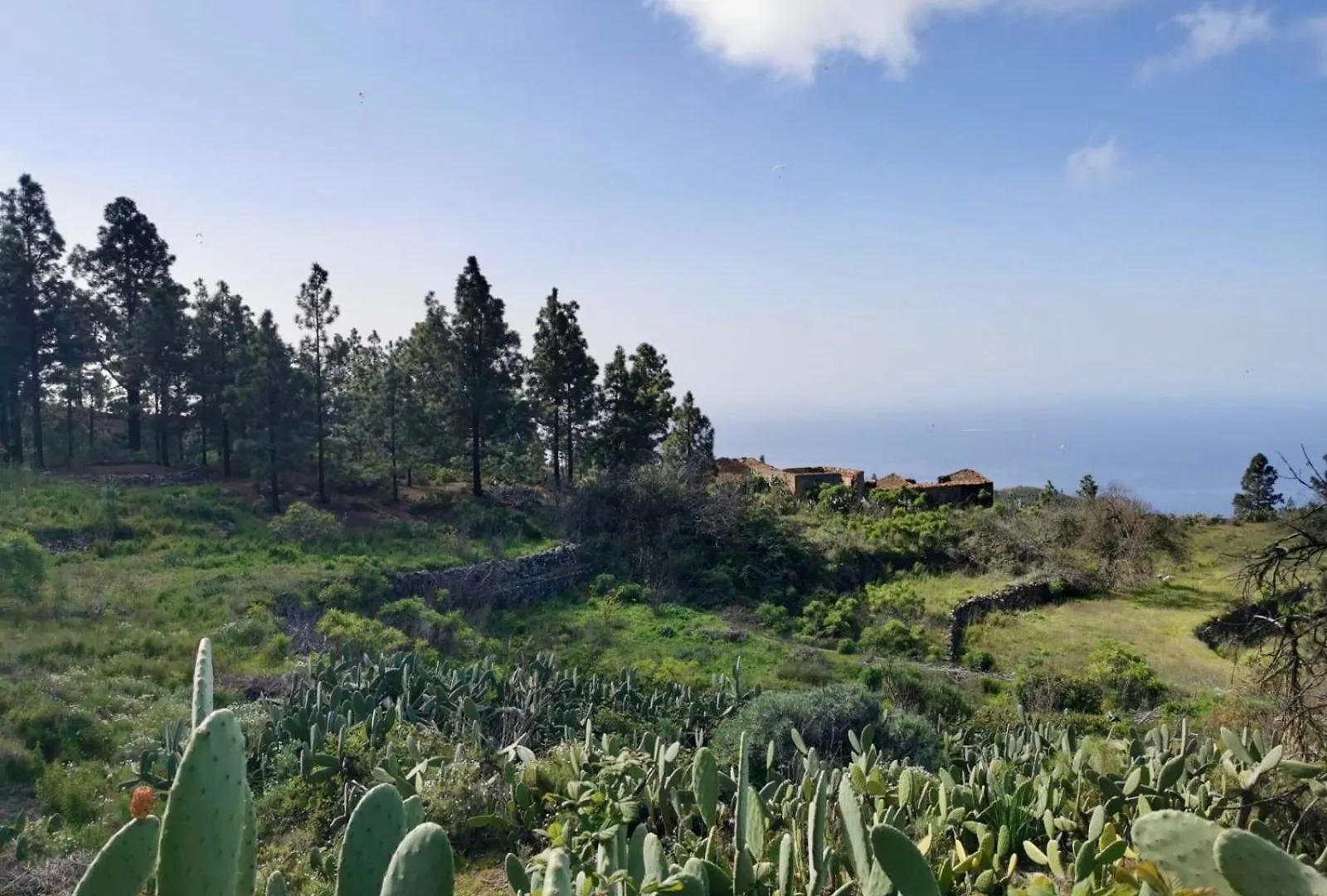 Tierrazul Art Boutique Rose Sweet Suite Costa Adeje  Apartament