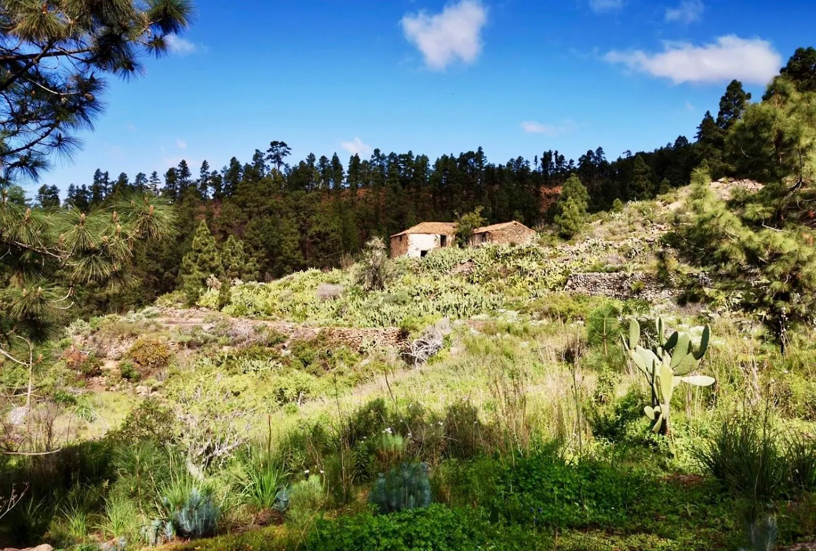 Tierrazul Art Boutique Rose Sweet Suite Costa Adeje